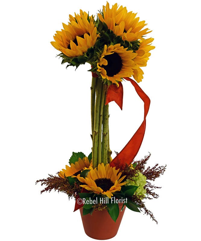 Sunflower Topiary, Rebel Hill Florist Tennessee (TN) Nashville