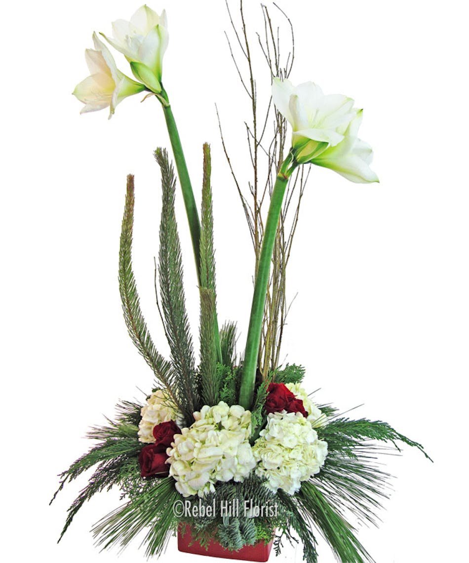 Amaryllis Accented with Hydrangea and Roses